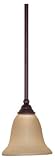 Nuvo Lighting 60/2421 Mericana 1-Light Damp Rated Mini Pendant with Amber Water Glass, Old Bronze
