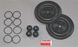 Dayton 6PY60 Pump Repair Kit, Fluid