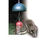 Twirl-A-Squirrel