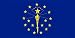 AIRBRUSHED LICENSE PLATES - INDIANA STATE FLAG - #1630