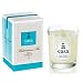 CASA&nbsp;&nbsp;�\�C�L�����h��&nbsp;�~�j&nbsp;�u���[&nbsp;���f�B�^���A��&nbsp;�~�X�g