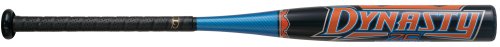 Louisville Slugger TPX (-12) Dynasty Youth Baseball Bat (29inch/17oz)