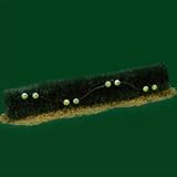Department 56 Halloween Lighted Spooky Eyeball Hedge