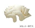 アルファプラ　ウェルピー　レギュラー　ブーメランタイプ　大/ PC-WR-B1