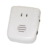 Remote Controlled Wall Outlet Converter Rececptical