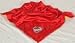 Iowa State University Cyclones New Baby Blanket