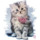 21qnb9kKKtL. SL160  Chanel~kitty Womens Scoop Neck T Shirt