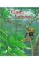 Canopy Crossing: A Story of an Atlantic Rainforest
