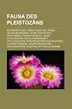 Fauna des Pleistoz�ns: Neandertaler, Homo erectus, Homo heidelbergensis, Homo ergaster, Genyornis, Paranthropus, Homo antecessor, Wollhaarmammut, ... Waldnashorn, Australopithecus sediba - 