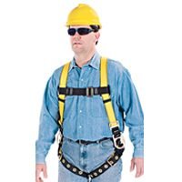 HARNESS STD TWBKL LGSTP 3DRING