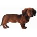   - Dachshund Cut Out Card