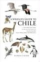 A Wildlife Guide to Chile: Continental Chile, Chilean Antarctica, Easter Island, Juan Fernandez Archipelago