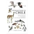 A Wildlife Guide to Chile: Continental Chile, Chilean Antarctica, Easter Island, Juan Fernandez Archipelago by Sharon Chester