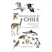 A Wildlife Guide to Chile: Continental Chile, Chilean Antarctica, Easter Island, Juan Fernandez Archipelago