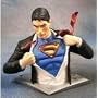 Best Buy Exclusive - Clark Kent Bust (Superman Returns)