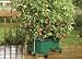 EarthBox Garden Kit - Green