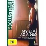 My Life As A Dog [ NON-USA FORMAT, PAL, Reg.0 Import - Australia ]