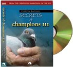 Pigeon Racing: Secrets of Champions III: Young Bird Racing