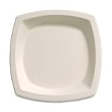 Solo 10PSC2050 Plate, 10