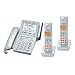 Panasonic �f�W�^���R�[�h���X�d�b�@GP62DWS �e�@����юq�@2��(�V���o�[) VE-GP62DW-S