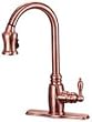 Danze D454557AC Opulence Single Handle Kitchen Faucet with Pull Down Spout and Lever Handle, Antique Copper