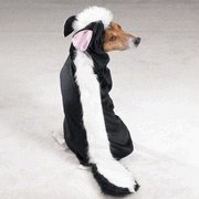 Dog Costume - Li'l Stinker Dog Skunk Halloween Costume - X-Large (XL)