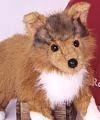 Stuffed Sheba Collie