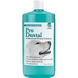 Professional Dental Solution