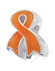Sterling Silver Orange Awareness Ribbon Zable Bead BZ2221