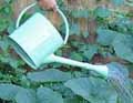 Review Burgon and Ball  / Burgon and Ball Green Enamel Garden or Indoor Watering Can