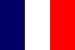 Paper Bunting: 4m x 10 Flags France