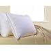 Martex American Pride Ultra Gold Standard Pillow Set (2 Standard Pillows)