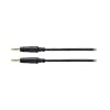 audio-technica GOLDLINK Fine �X�e���I�~�j(�I�X-�I�X)1.0m AT544A/1.0