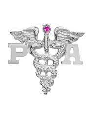NursingPin - Physician Assistant PA Graduation Pin with Ruby in Silver