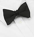 Pure Silk Satin Bow Tie