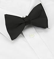Pure Silk Satin Bow Tie