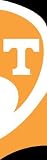 NCAA Tennessee Volunteers Tall Team Flag W/Pole.
