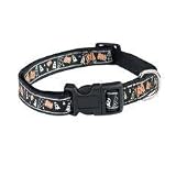 Extra Small Haunted Happenings Halloween Dog Collar