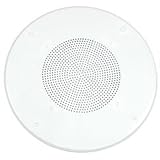 12-Inch Painted Metal Grill - White