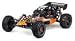 Desert Rat Clear Body: Baja 5b