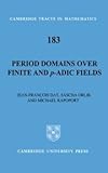 Period domains over finite and p-adic fields