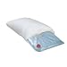 Core Basic Water Pillow? #294
