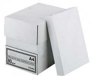 Druck- und Kopierpapier A4 - 80 gramm - 5000 Blatt