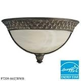 P7209-86STR - Savannah Sconce