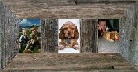 Wide Vertical Barnwood Panel Frame for (3) 4x6 Pictures