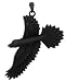 Raven Pendant - Collectible Medallion Necklace Accessory Jewelry