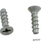 Buy Hayward SPX1425Z32 Grate Screw Replacement for Select Hayward Fittings, Pumps and... by Hayward