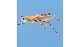 Fishing: Morrish Hopper