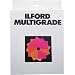 Electronics : Ilford Multigrade Filters 3.5x3.5