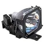Epson air filter ( V13H134A07 )